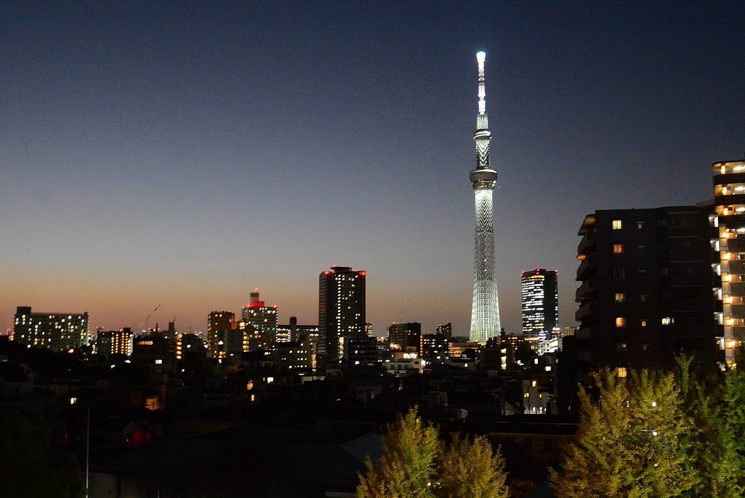 sf_kameido_gallery023-1-scaled